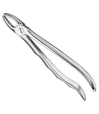 Extracting Forceps, Anat
