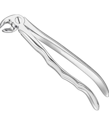 Extracting Forceps, Anat